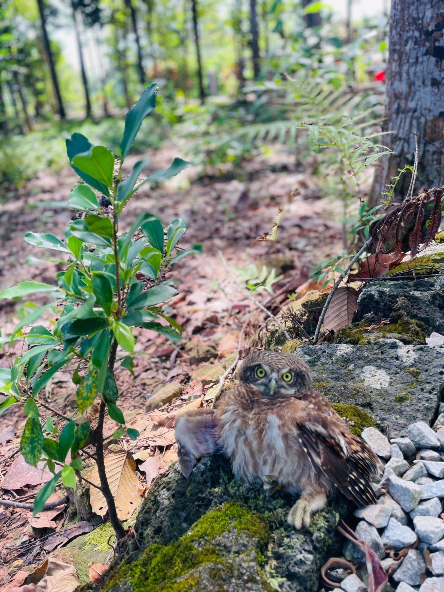 Cat Tien Riverside Dış mekan fotoğraf